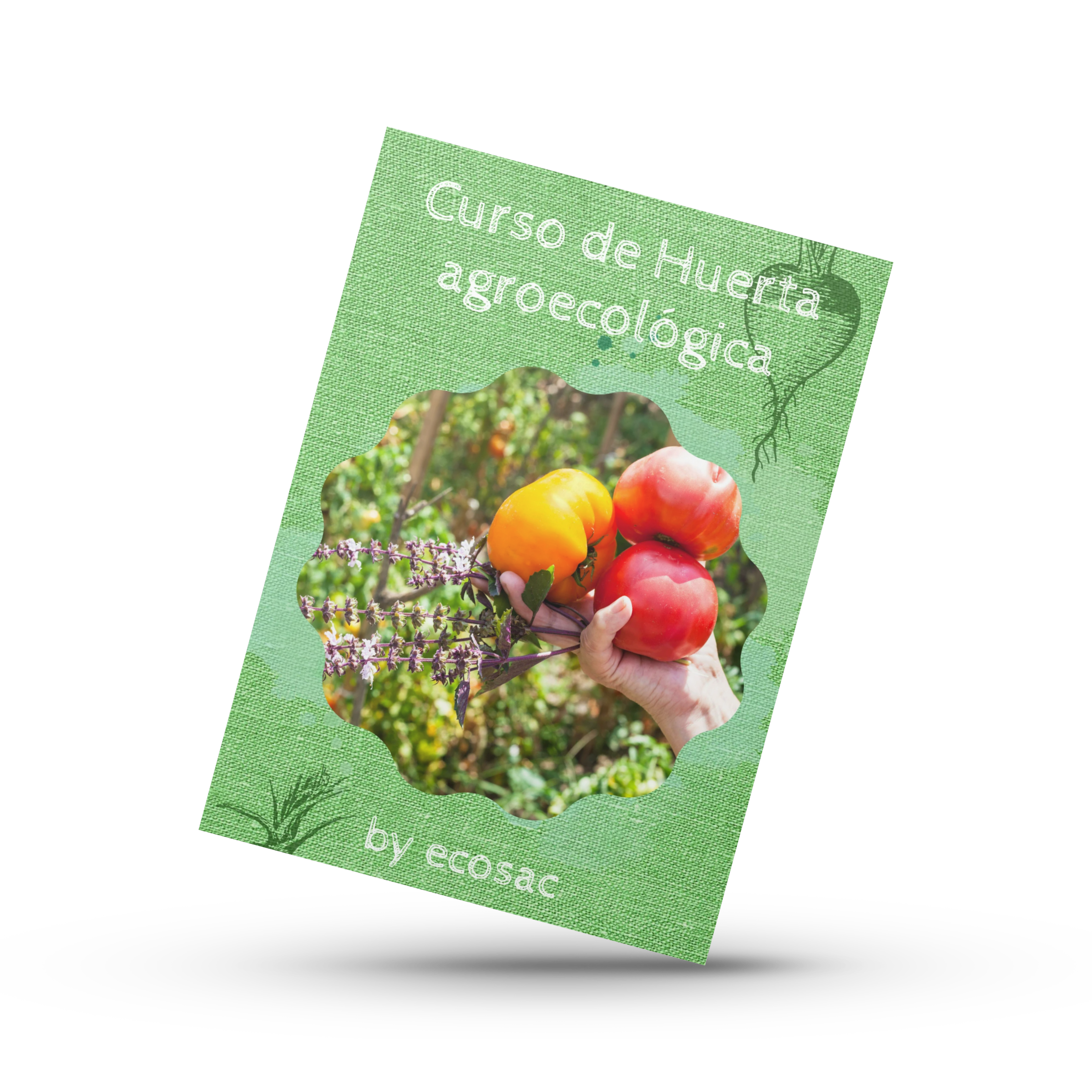 Curso de Huerta Agroecológica by ecosac