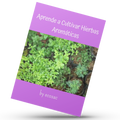 Aprende a Cultivar Hierbas Aromáticas by ecosac