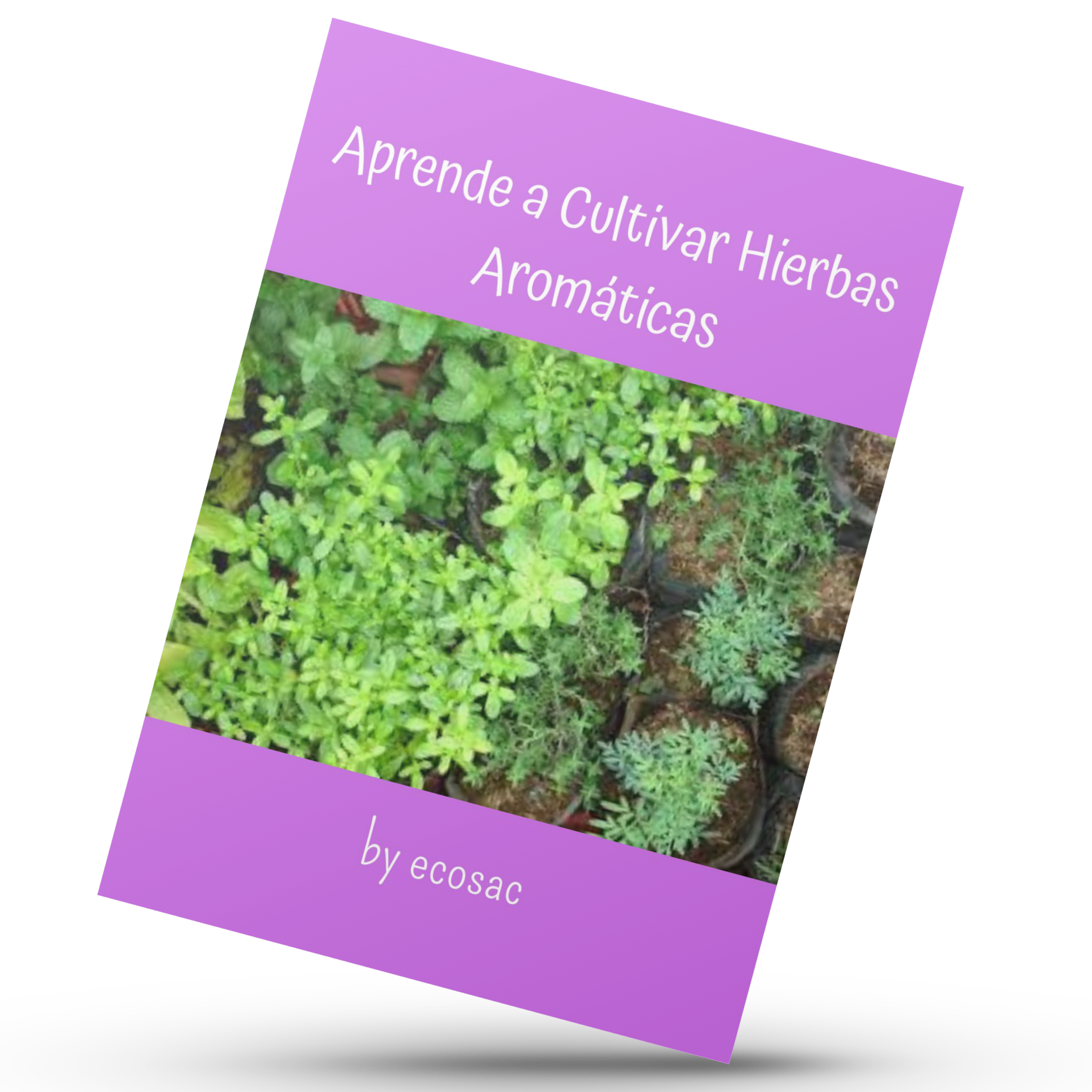 Aprende a Cultivar Hierbas Aromáticas by ecosac